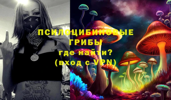 хмурый Алексеевка
