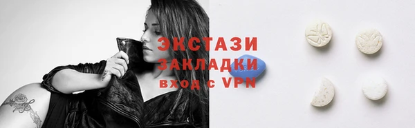 spice Няндома